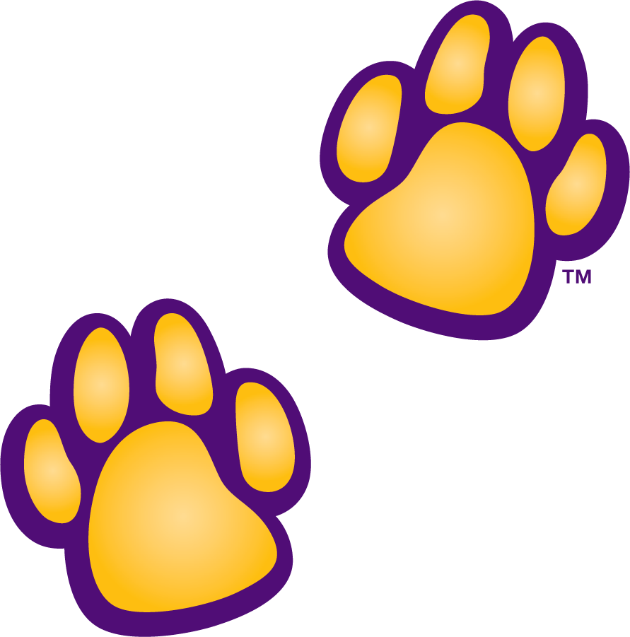 Northern Iowa Panthers 2021-Pres Secondary Logo diy iron on heat transfer